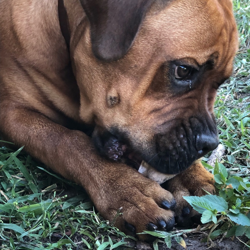 Meet your Posher, Ekaterina